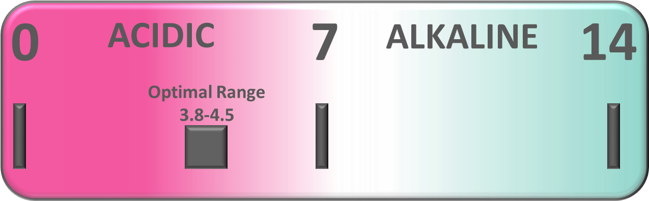 The Vaginal Environment Contains Many Microorganisms/flora - Lactobacillus (1369x420), Png Download