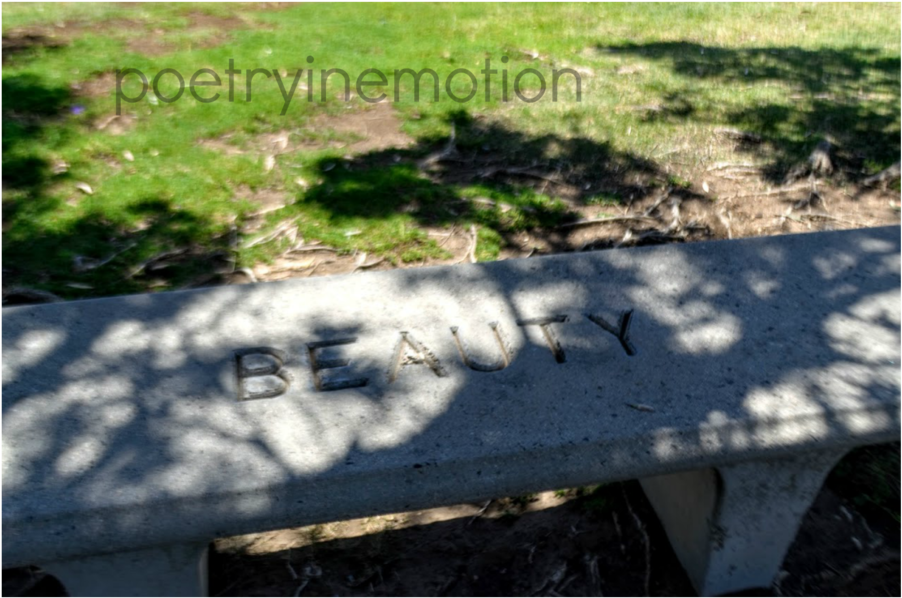 Malibu Park Bench Wm (1000x1333), Png Download