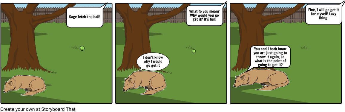 Playing Fetch With Sage - Comic Strip On How Healthy Relationship (1164x385), Png Download