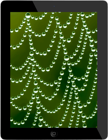 Ipad® With Retina Display 32gb Wifi & 3g - Moon And Stars (600x600), Png Download