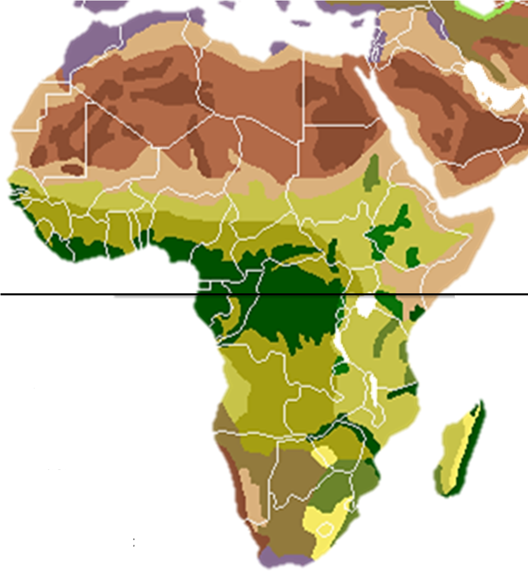 Vegetation Africa Blank - Climate Change In Savannas (1044x1149), Png Download