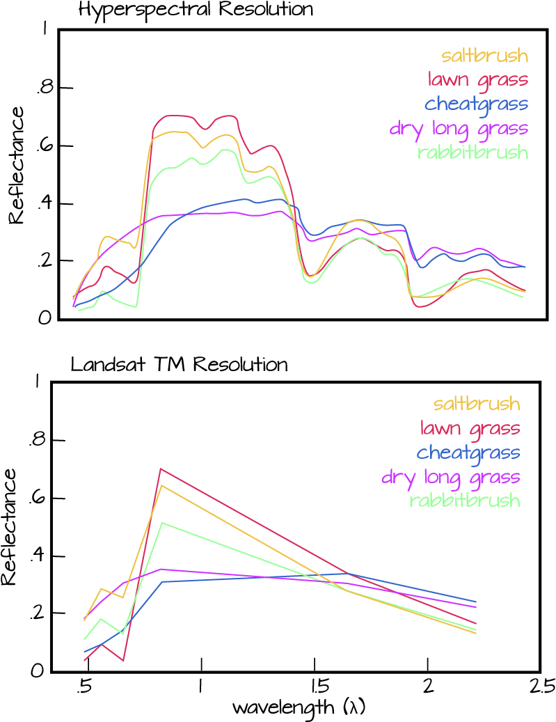 A Hyperspectral Instruments Records Reflected Light - Diagram (931x1125), Png Download