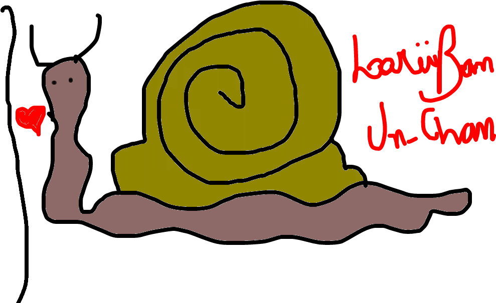 Caracol - Drawing (1020x608), Png Download