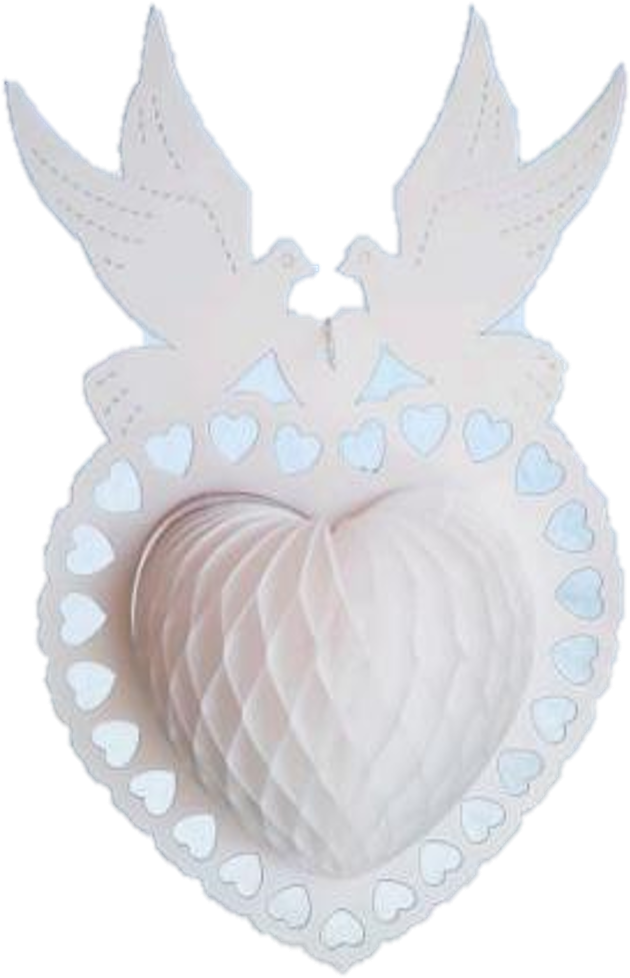 Paloma Color Blanco - Owl (838x1113), Png Download