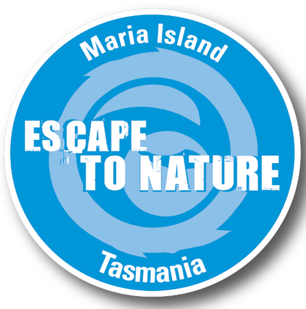 Visitors Explore The Island To Disconnect From Ordinary (1181x1181), Png Download