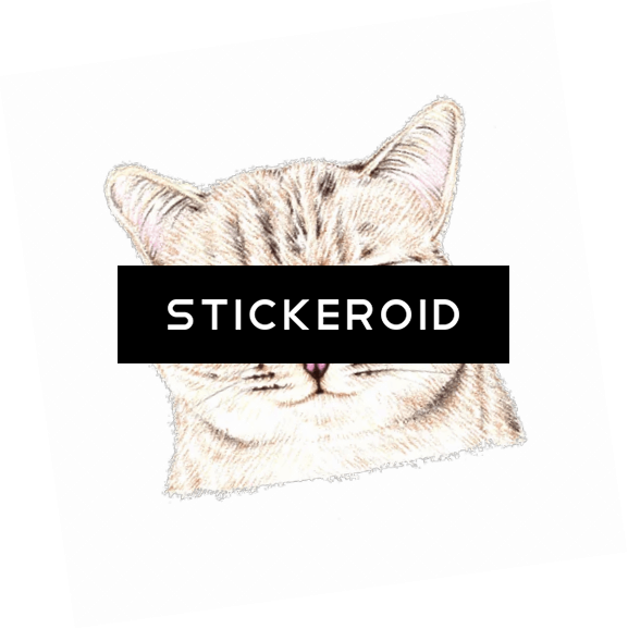 Grumpy Frowning Gloomy Somber Sulky Серьёзный Суровый - Duke Nukem Forever Box Art (577x578), Png Download