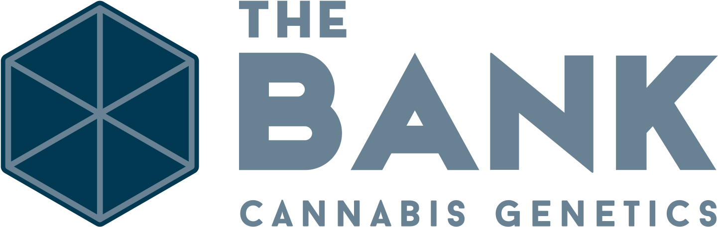 The Bank Cannabis Genetics - Bank Genetics (1469x502), Png Download