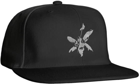 Street Soldier Black Snapback Hat - Linkin Park (600x600), Png Download