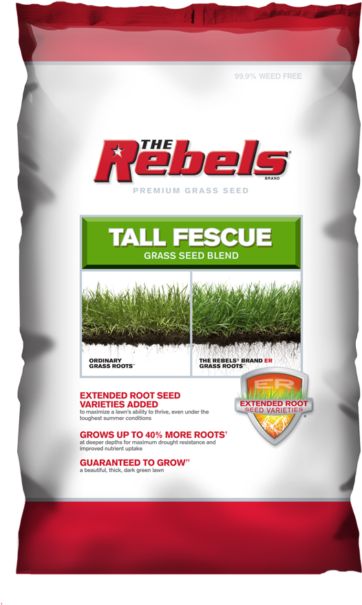 Rebel Tall Fescue Blend 7lb - Pennington Seed Inc 3-lb. Rebel Fescue Seed (1000x1000), Png Download