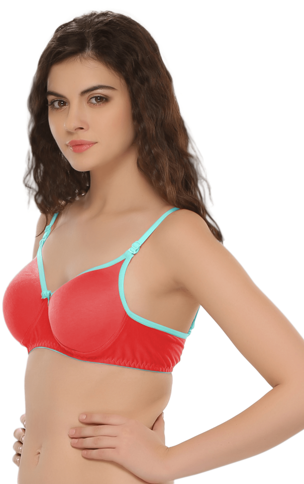 Padded Non Wired T Shirt Bra - Bra (640x960), Png Download