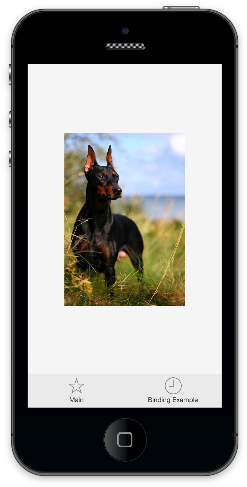 It Minimizes The Amount Of Lines Of Code You Have To - Dobermann (828x1624), Png Download