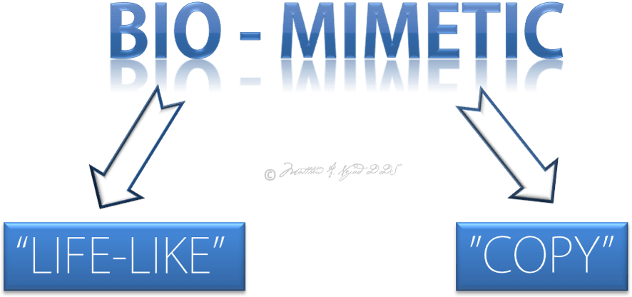 Biomimetic Dentistry Replicates The Strength, Function, - Biomimetics In Dentistry (940x471), Png Download