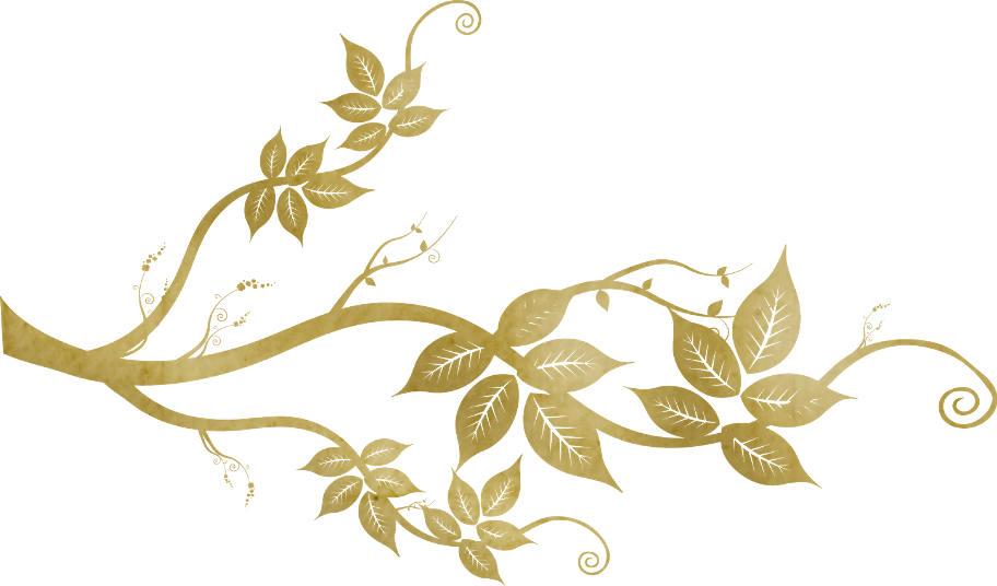 Festas E Casamentos - Arabesco Folhas Png (912x536), Png Download