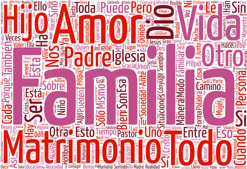 La Alegría Del Amor Publicada La Nueva Exhortación - Alegria Del Amor (855x584), Png Download