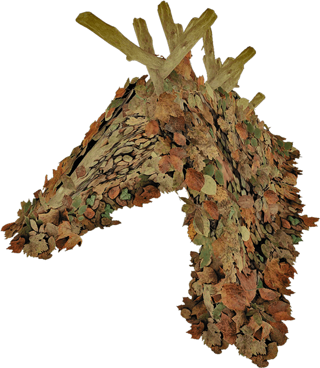 Forest Shelter Png (750x750), Png Download
