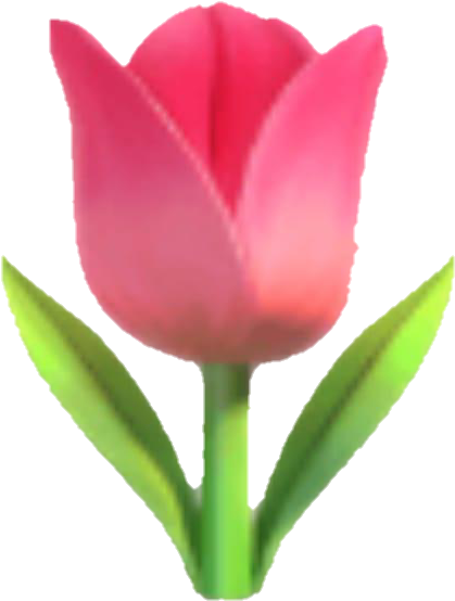 Emoji Tulip Flower Pink Pinkflower - Whatsapp Emoji Tulpe (720x663), Png Download