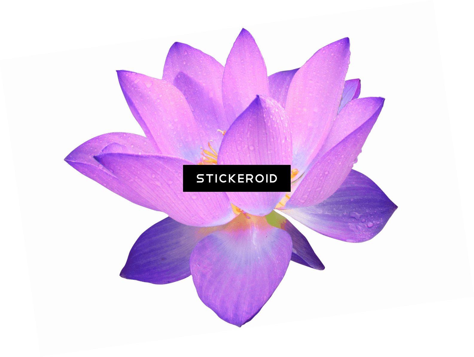 Purple Flower - Clip Art (1585x1193), Png Download