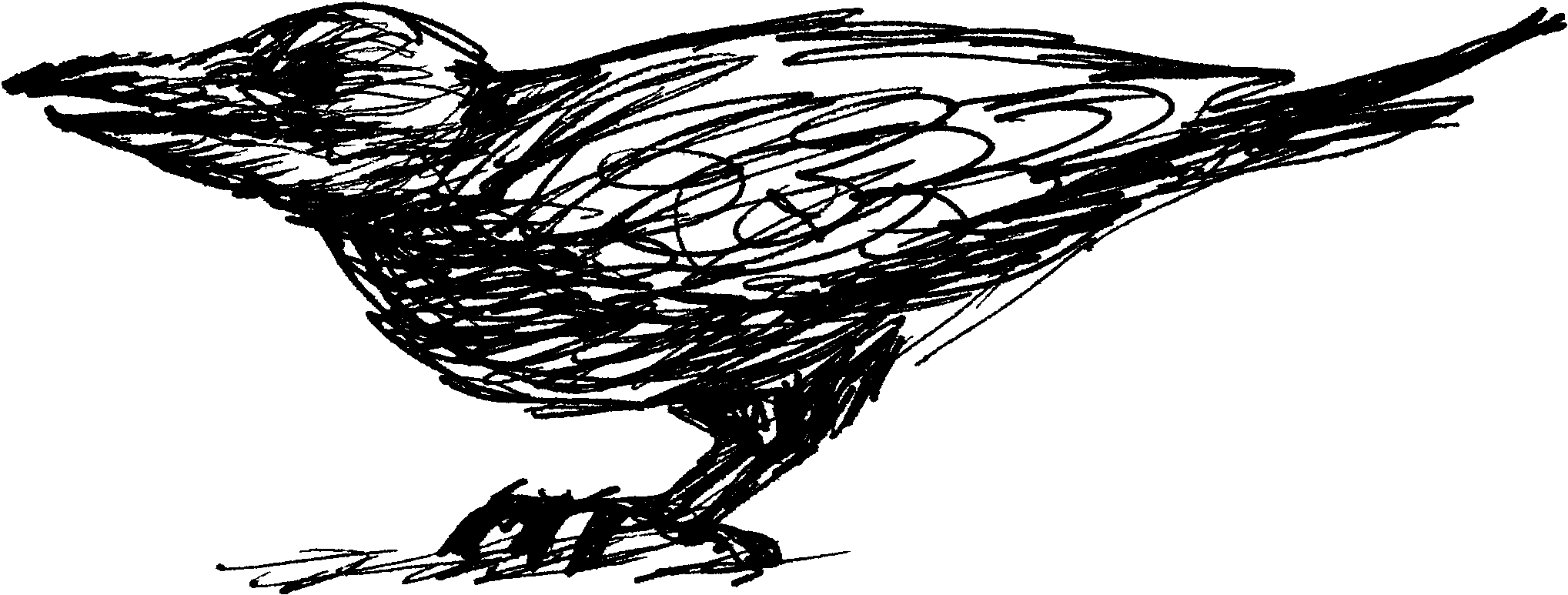 Updated Time And Meeting Places For The M - Sketch (2046x903), Png Download