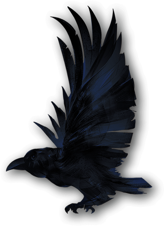 Personal Protection - Bird (534x732), Png Download