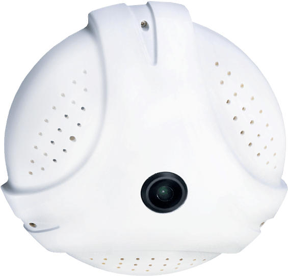 Pd736 - Circle (601x600), Png Download