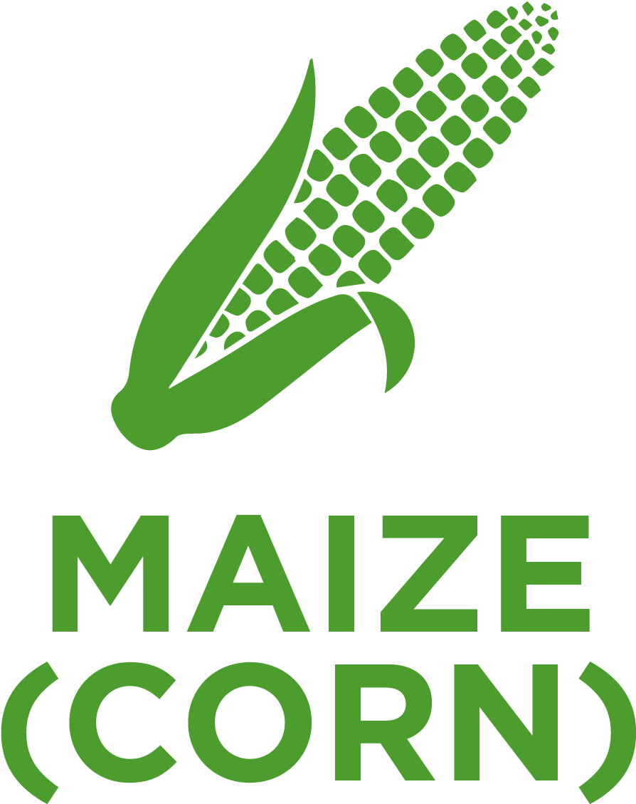 Maize , Also Known As Corn, Belongs To The Poaceae - Alcatel Submarine Networks Logo (1417x1417), Png Download