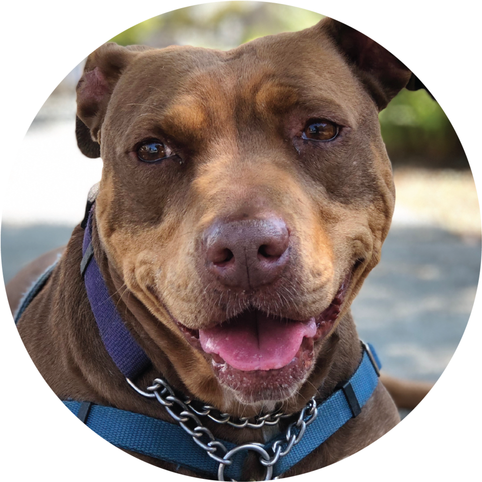 Arthur - Portable Network Graphics (1000x1000), Png Download