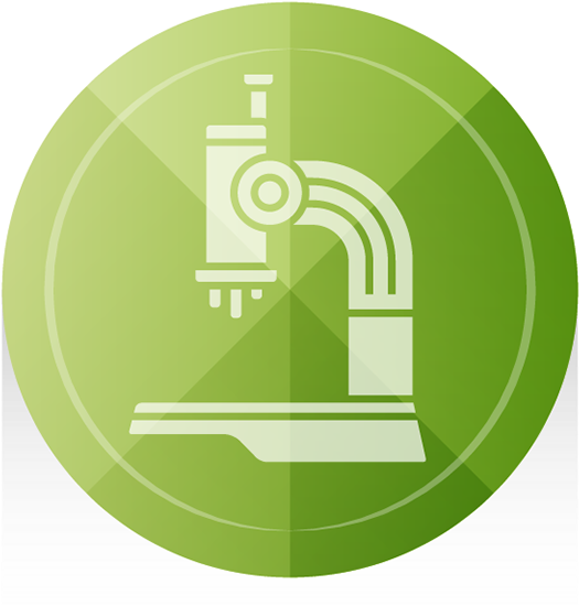 Circle (600x600), Png Download