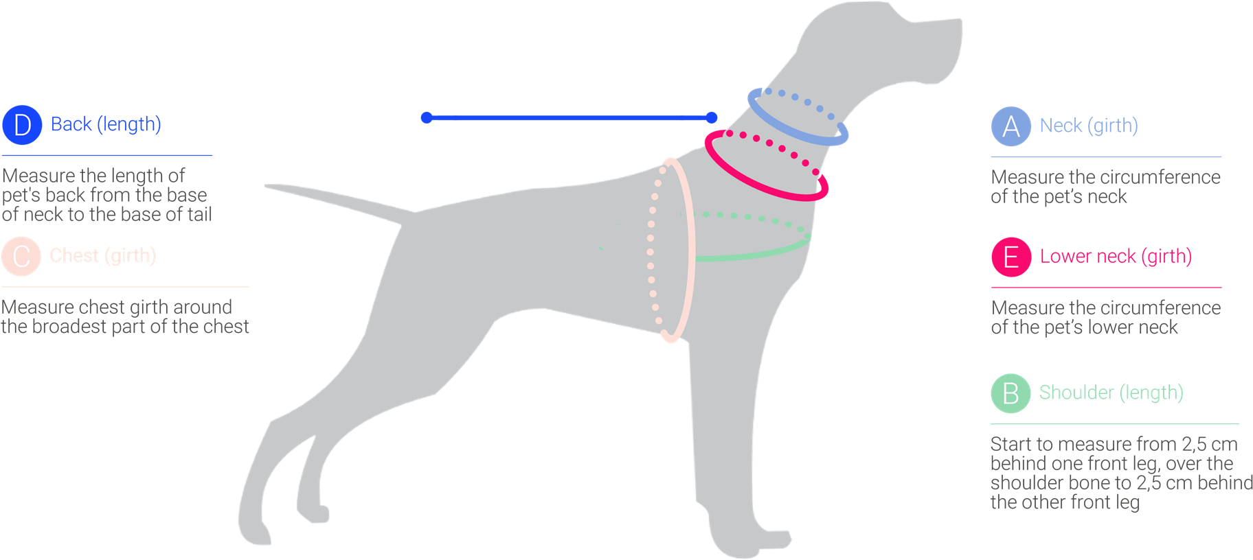 How To Measure Your Dogs Chest Girth Neck Back - Neck (1857x876), Png Download