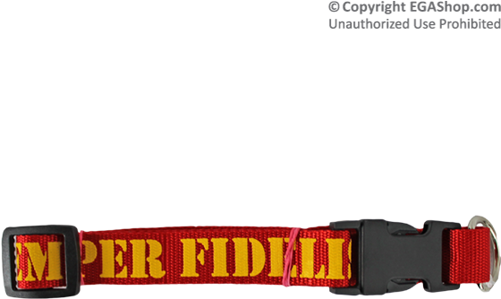 Fernandino First (600x600), Png Download