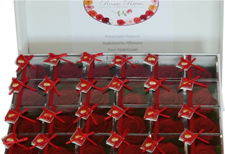 Box (1000x500), Png Download