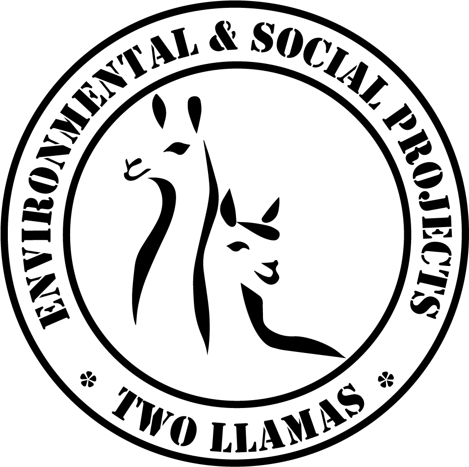 Two Llamas Clear Cut - Valladolid Neg Occ Logo (1000x1012), Png Download