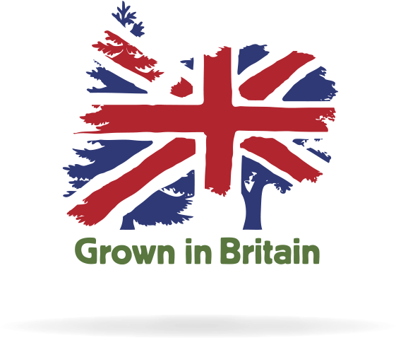 From Seed To Store - Grown In Britain Logo (763x569), Png Download