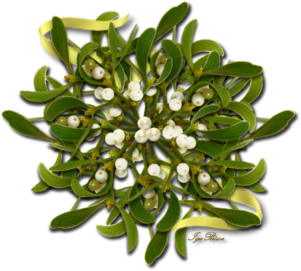 2017 01 06 Separateur Gui - Flower (600x540), Png Download