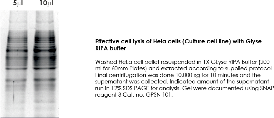 Glyse® Ripa Buffer Does Not Contain Any Kind Of Inhibitors - Ripa Buffer Pellet (1083x442), Png Download