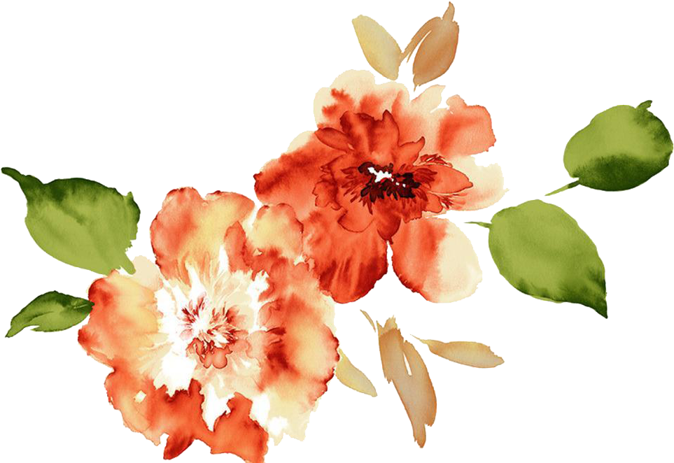 Clip Transparent Download Watercolour Flowers Paper - Watercolor Flowers Peach Peony Png (1024x664), Png Download