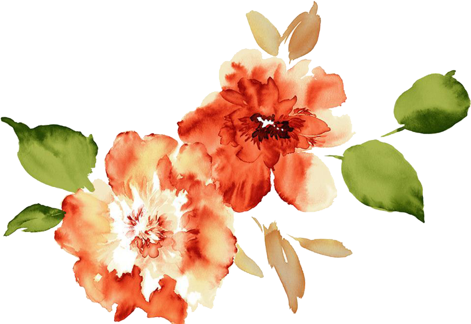 Download Clip Transparent Download Watercolour Flowers Paper Watercolor Flowers Peach Peony Png Png Image With No Background Pngkey Com
