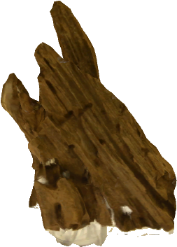 Driftwood - Wood (480x480), Png Download