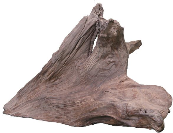 Driftwood (600x460), Png Download