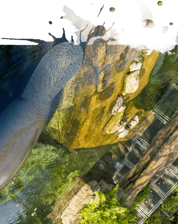 Manatee Rehabilitation Area - Manatee Rehabilitation (600x754), Png Download