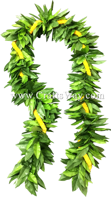 Lei-1003 Untied Maile & Ilima Lei - Wreath (550x680), Png Download