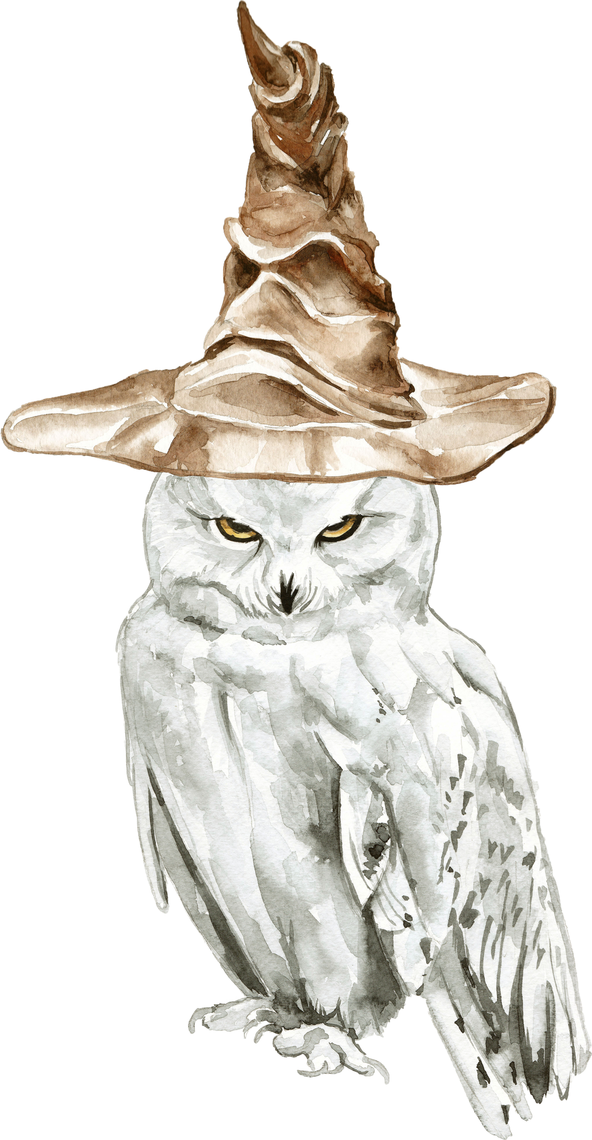 Snowy Owl Harry Potter Drawings (1204x2320), Png Download