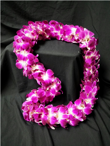 Bombay Orchid Lei - Bakersfield (480x480), Png Download