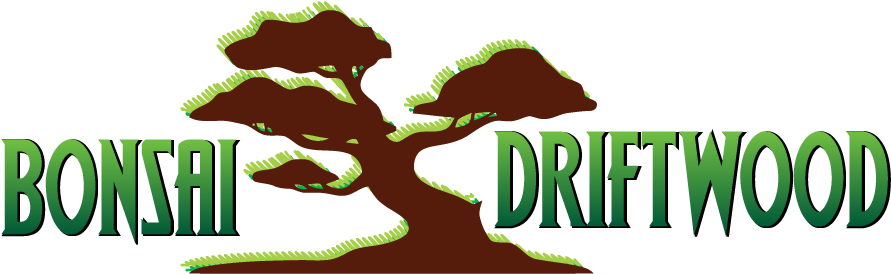Bonsai Driftwood For Aquarium - Tree (1024x768), Png Download