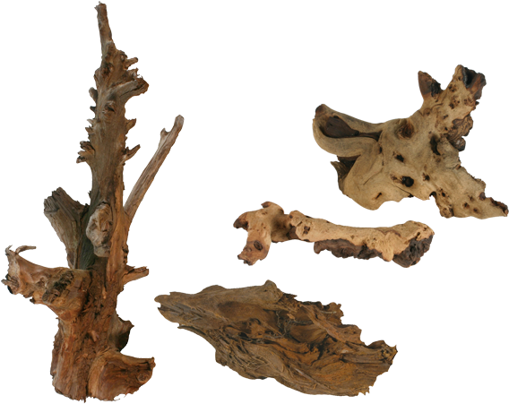 Beginner Guide - Wood (783x468), Png Download