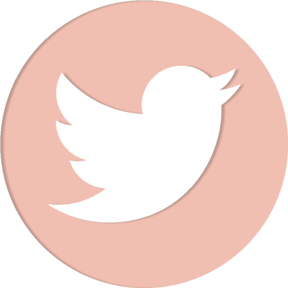 Social Media - Transparent Twitter Logo Png (1024x1024), Png Download