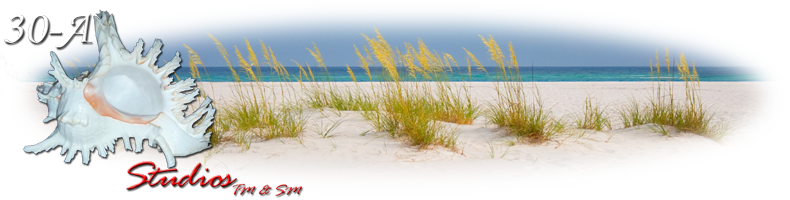 Established - 30-a Studios (790x200), Png Download