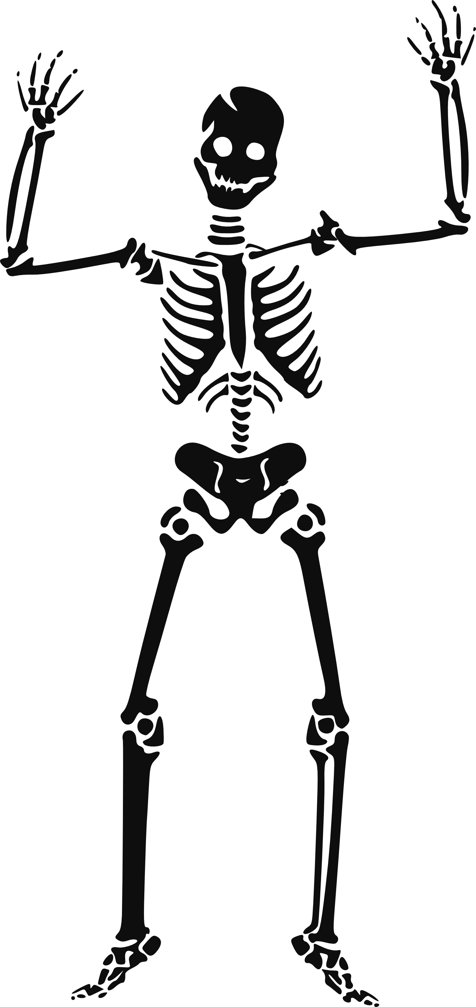 Famine Clip Art Clipart Clip Library Stock - Skeleton Clipart (1514x3200), Png Download