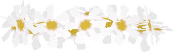 Lei - Petal (400x400), Png Download