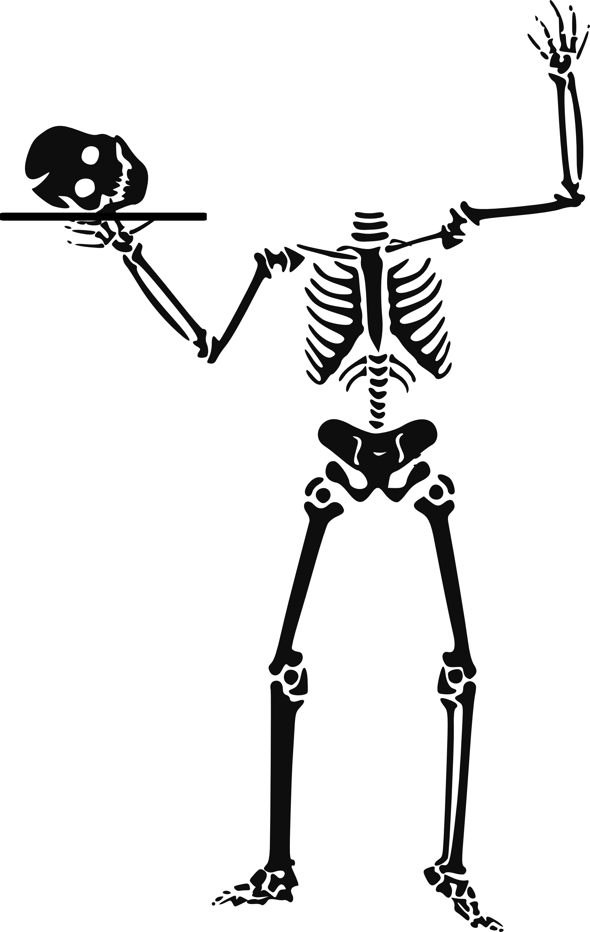 Skeleton - Skeleton Clipart (2027x3200), Png Download
