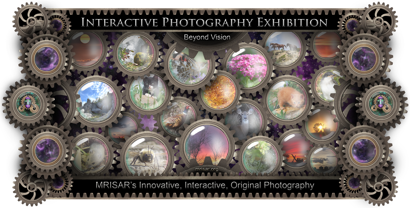 Art Exhibition (1420x720), Png Download